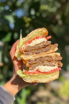 a hand holding a sandwich with meat and lettuce on it in front of trees