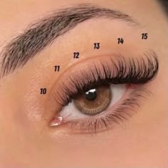 Type Of Lashes Extension, Fake Lashes Types, Best Lash Extensions For Hooded Eyes, Cat Eye Lash Map Clusters, Las Extensions, Lash Cluster Mapping Styles, Lash Notes, Lash Extensions Map, Eyelash Map