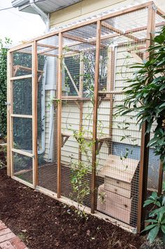 a chicken coop with plants growing in it