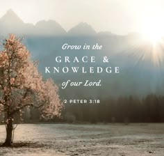 a tree with the words grow in the grace and knowledge of our lord