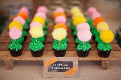 cupcakes decorated with grass and pom - poms are displayed on a table