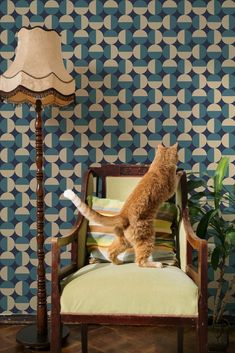 a cat standing on its hind legs in front of a chair with a lamp next to it