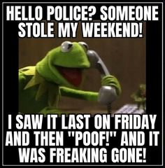 kermie the frog talking on phone with caption that reads, hello police? someone stole my weekend i saw it last on friday and then poof