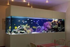 an aquarium in the middle of a dining room