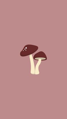 two mushrooms on a pink background