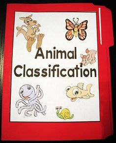 an animal class sign with pictures of animals on it