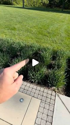 someone is pointing to the grass in front of their house with an arrow on it