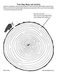 the tree ring maze and activity for kids to learn how to make it with this printable