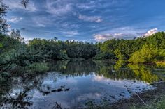 a lake surrounded by lots of trees under a cloudy sky