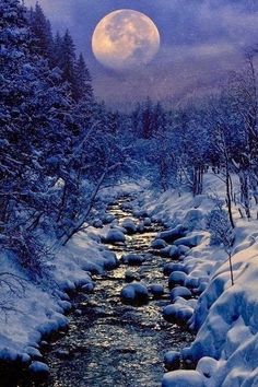 a river running through a snow covered forest under a full moon