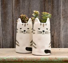 two ceramic cat planters with succulents in them