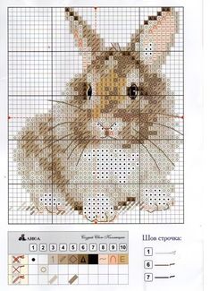 the cross stitch pattern shows an image of a cat with long ears and eyes, as well as several other patterns