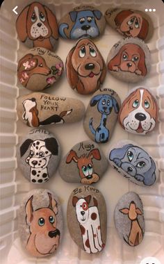 a white container filled with lots of rocks covered in cartoon dogs and cats on them