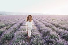 a woman walking through a lavender field at sunset