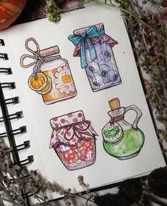 an open notebook with watercolor drawings of jars and flowers on it next to dried plants