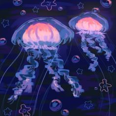 two jellyfishs floating in the ocean at night