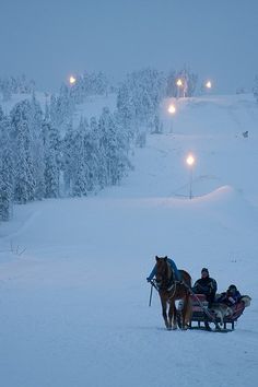 two people riding in a sleigh pulled by horses on a snowy slope at night