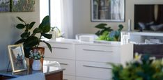 a living room with plants and pictures on the wall