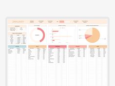 a spreadsheet with graphs and pies on the top, in front of a white background