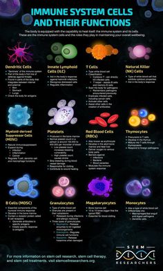 an information poster describing the different types of cell phones and how they are connected to each other