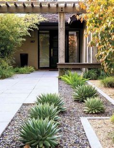 an outdoor patio area with plants and gravel