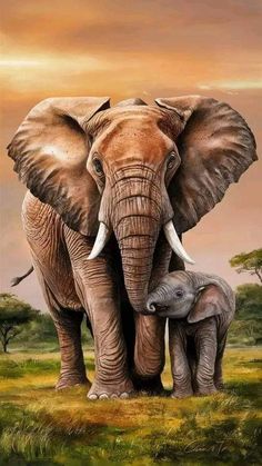 Elephant Paintings, Elephant Painting Canvas, Wild Animal Wallpaper