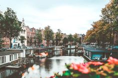 boats are docked on the water in front of some buildings and trees with red flowers