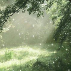 the sun shines brightly through the trees and grass in this misty, green forest