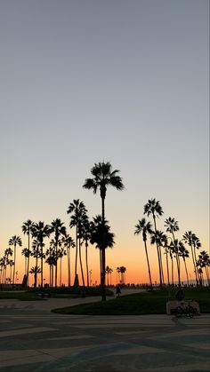 palm trees are silhouetted against the sky at sunset