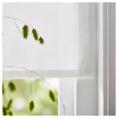 some green leaves are hanging on the window sill in front of white curtains and windowsills