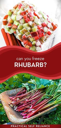 an advertisement for rhubarb is shown here