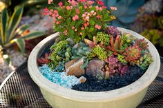 a potted plant with pink flowers and green plants in it sitting on a table