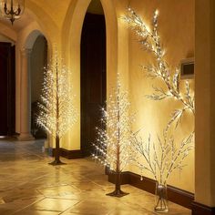 three lighted trees in vases on the floor next to a wall with arched doorways