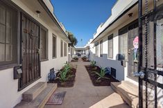 an alley way between two buildings with plants on each side