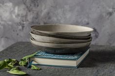 a stack of plates sitting on top of a book next to a leafy plant