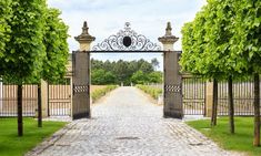 an iron gate in the middle of a cobblestone driveway with trees lining both sides