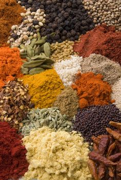 many different types of spices are arranged together