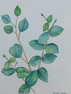 a painting of green leaves on a white background