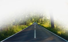 an empty road surrounded by tall grass and trees in the background with sunbeams