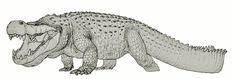 a drawing of an alligator with its mouth open