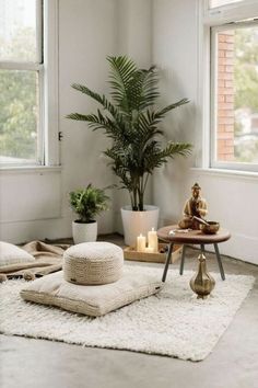 a living room filled with furniture and a potted plant