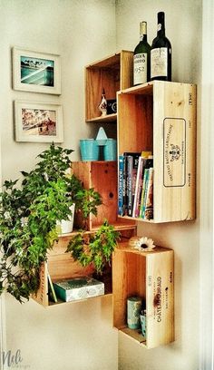 there is a wine crate next to a potted plant on the shelf in this room