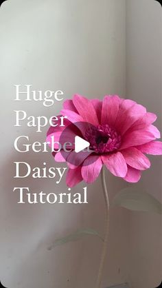 a pink flower with the words huge paper gerble daisy on it's side