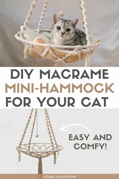 a cat sitting in a hammock with the text diy macrame mini - hammock for your cat easy and comfy