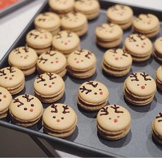 cookies with frosting and reindeer faces are arranged on a cookie sheet to look like they have been decorated for christmas