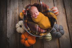 a baby is sleeping in a bucket surrounded by pumpkins and other fall decorations on a wooden floor