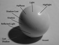 the parts of a white ball on a table