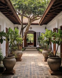 a courtyard with potted plants and benches