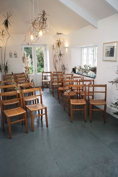 a room filled with lots of wooden chairs next to a window and potted plants