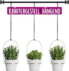 three hanging planters with plants in them and the words kautegestelll hangen